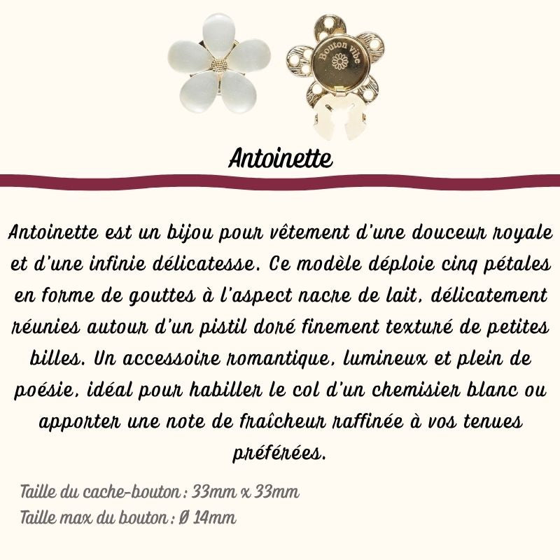 Antoinette