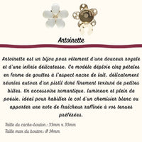 Antoinette